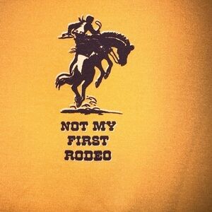 Lularoe Liv 2X‎ yellow T shirt. “Not My First Rodeo” NWT. Dark purple ringer.